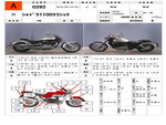 �������� �� ������ �������� Honda Shadow1100 Classic 1995 ���� 1